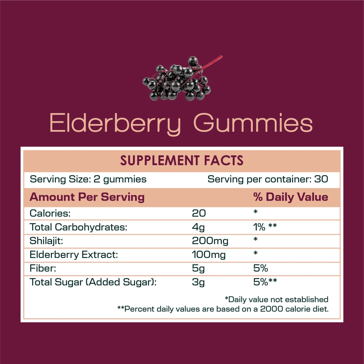 Elderberry Shilajit Gummies - Image 4